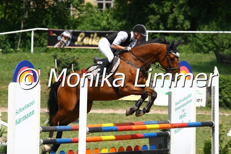 105M3662_JPs Cedric_Spring_L.JPG